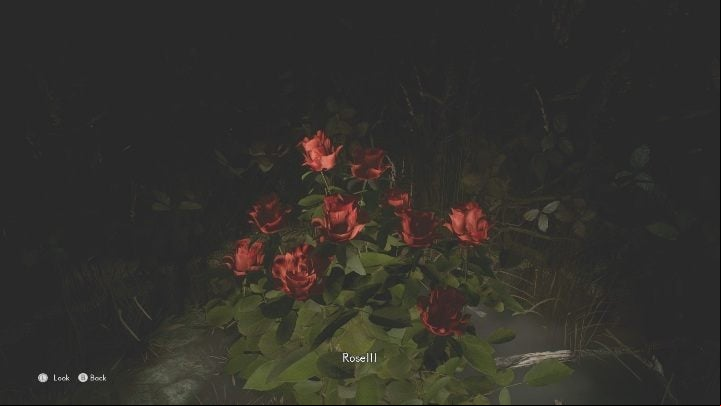 The last important element is the roses, which you will find on the final path - The Medium: Richards House - walkthrough - The Medium Guide