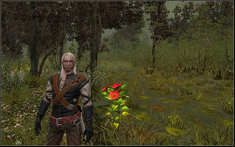 Phase 5 - Side-quests - part 6 | Chapter II | Walkthrough - Quests | Chapter II - The Witcher Game Guide & Walkthrough
