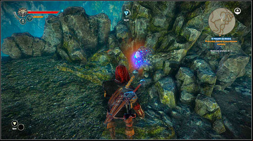 Right after going inside you will be attacked by two Celaeno Harpies - Hunting Magic - Main missions - The Witcher 2 Assassins of Kings Guide