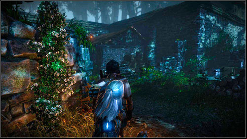 On the other side there are three guards, out of which you have to eliminate two - Indecent Proposal - Main missions - The Witcher 2 Assassins of Kings Guide
