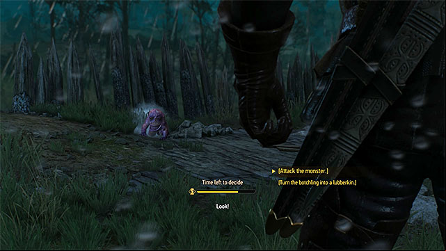 The moment of making an important decision - The Witcher 3 Wild Hunt: Family Matters - walkthrough - Crows Perch - The Witcher 3 Wild Hunt Guide