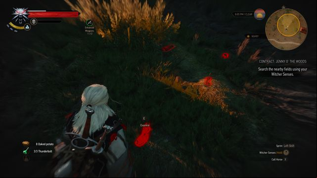 Follow the trail and investigate all clues. - The Witcher 3 Wild Hunt: Witcher contracts, Midcopse - walkthrough - Midcopse - The Witcher 3 Wild Hunt Guide