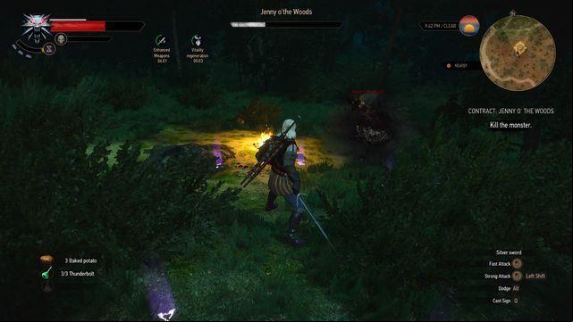 Use Yrden sign and silver sword to defeat the monster. - The Witcher 3 Wild Hunt: Witcher contracts, Midcopse - walkthrough - Midcopse - The Witcher 3 Wild Hunt Guide