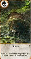 The penultimate special card is Scorch - The Witcher 3 Wild Hunt: Basics of the Gwent game - Gwent game - The Witcher 3 Wild Hunt Guide
