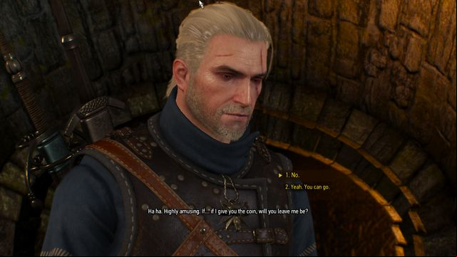 Decide about the thiefs fate - The Witcher 3 Wild Hunt: Side quests, Free City of Novigrad - walkthrough - Free City of Novigrad - The Witcher 3 Wild Hunt Guide
