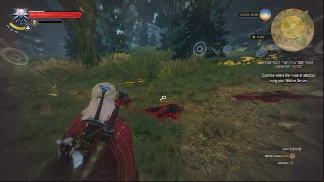 Go to the marking and then follow the trail that will lead you to the monsters nest. - The Witcher 3 Wild Hunt: Witcher contracts, Oxenfurt - list, walkthrough - Oxenfurt - The Witcher 3 Wild Hunt Guide