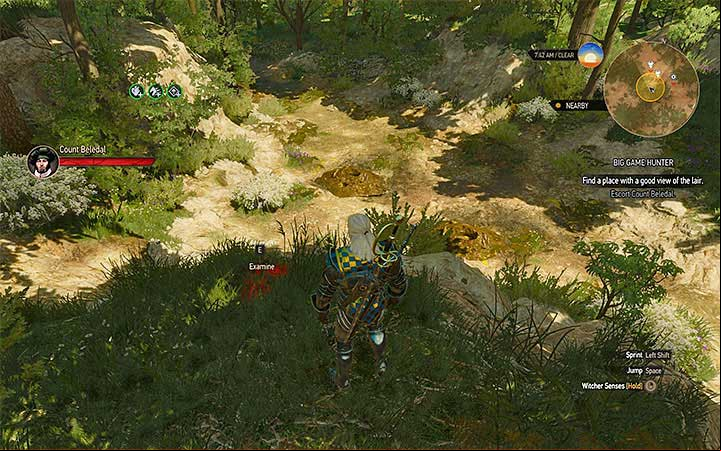 Soon you will reach the lair of the giant centipedes - Big Game Hunter - Count Beledals contract - Witcher contracts and Treasure hunts quests - The Witcher 3: Blood and Wine Game Guide