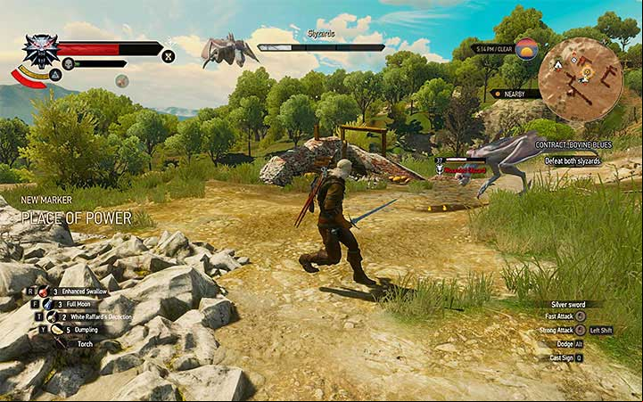 The younger slyzard is easier to kill - Contract: Bovine Blues - slyzards contract - Witcher contracts and Treasure hunts quests - The Witcher 3: Blood and Wine Game Guide