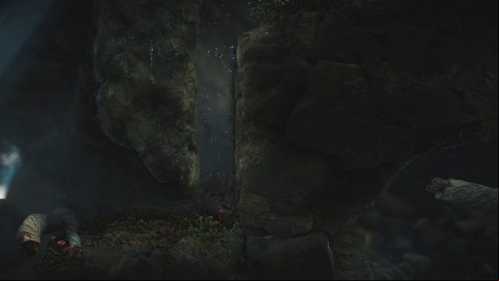 You can learn one more mechanic in the cave - Foreign Shore level walkthrough in Unravel 2 - Walkthrough - Unravel 2 Game Guide