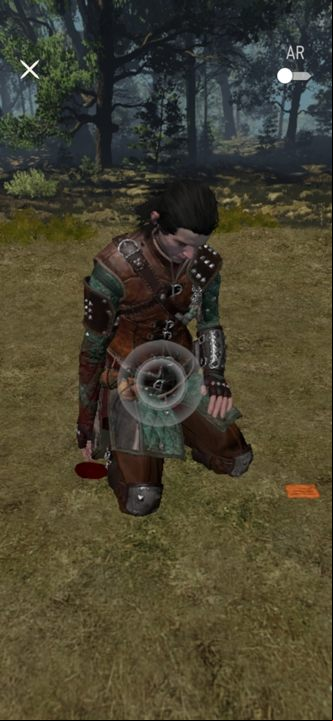 The Pride Ain't Cheap quest begins when you reach the first point on the map - The Witcher Monster Slayer: Pride Aint Cheap - walkthrough - Transition description - Witcher Monster Slayer Guide
